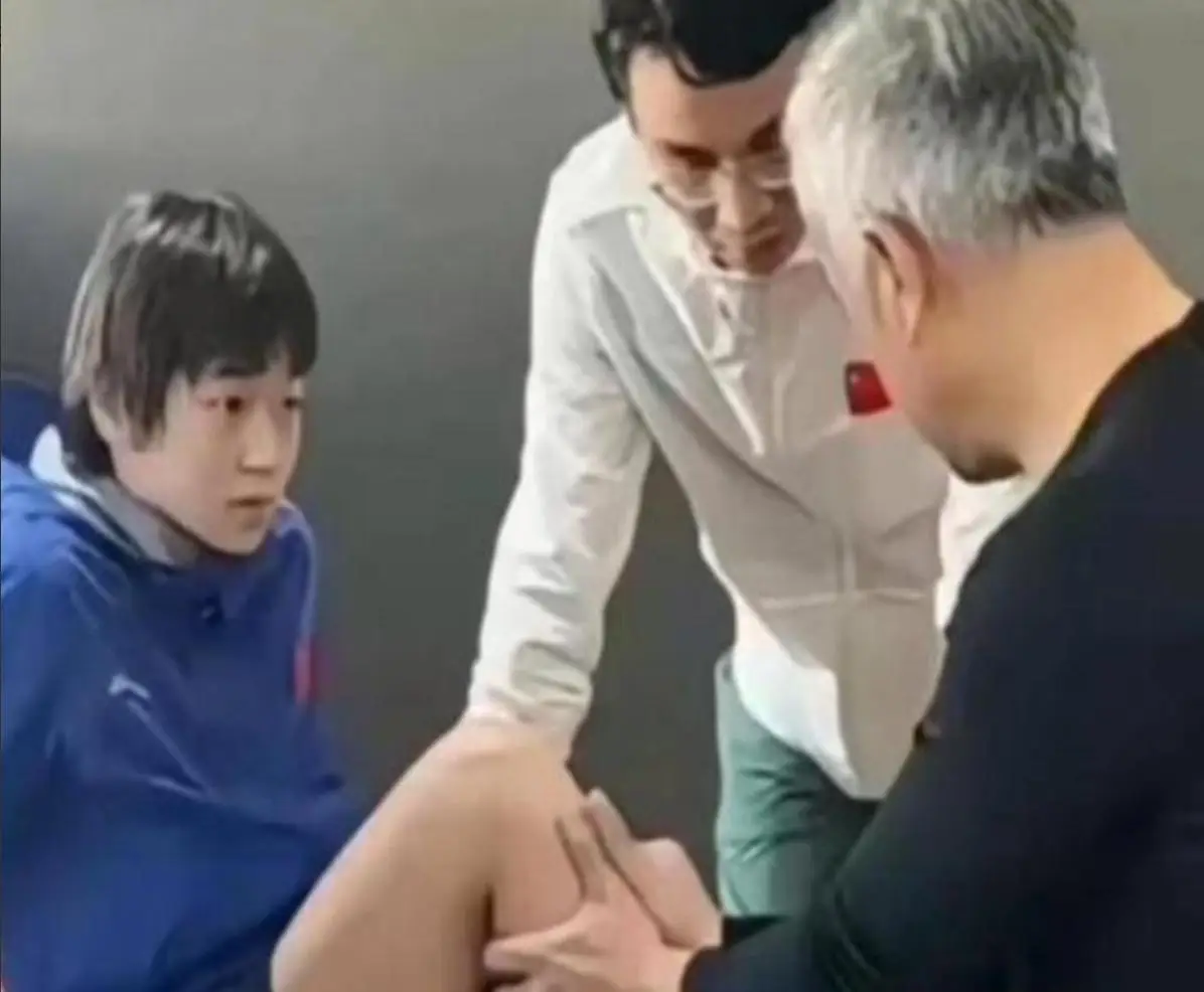 逗猫专用动态鱼_逗猫的动态鱼_逗猫动图鱼游来游去视频