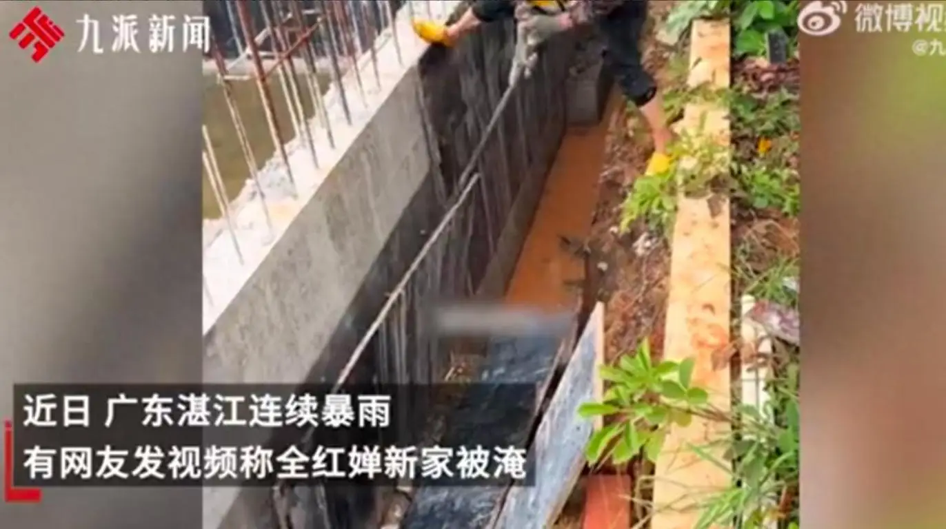 逗猫动图鱼游来游去视频_逗猫专用动态鱼_逗猫的动态鱼