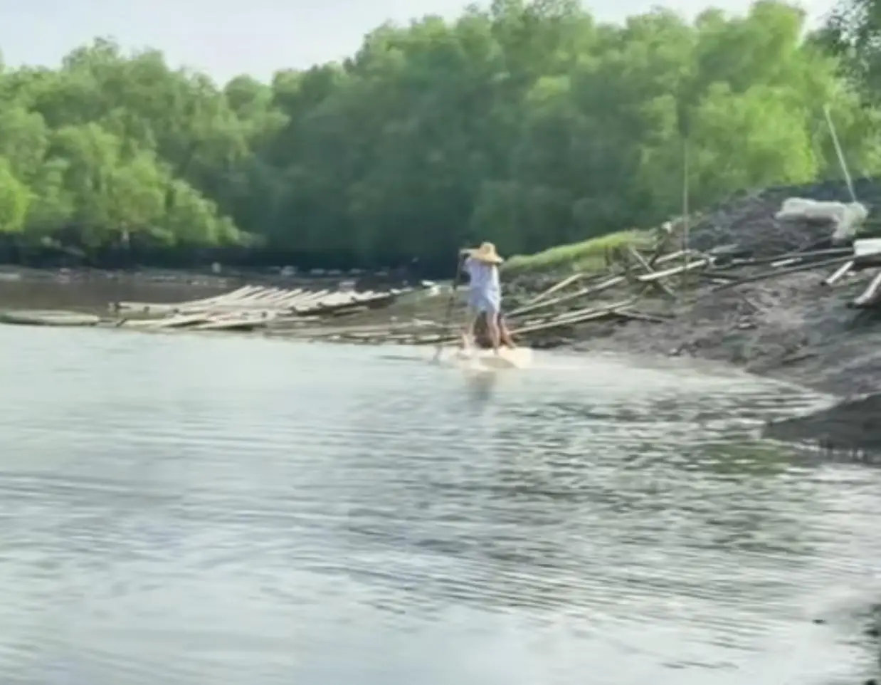 逗猫动图鱼游来游去视频_逗猫的动态鱼_逗猫专用动态鱼