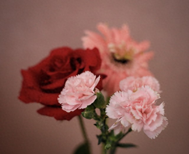 微信发朋友圈gif_朋友圈发gif_朋友圈发gif图