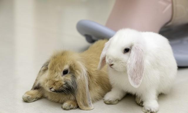 朋友圈发gif图_教你朋友圈发gif图说说_朋友圈发gif