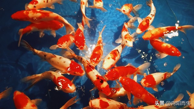 朋友圈发gif_发朋友圈的动图_微信发朋友圈gif