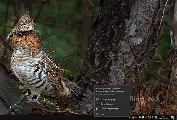 三款电脑自动换壁纸工具，满足你用Bing精美壁纸做桌面的需求