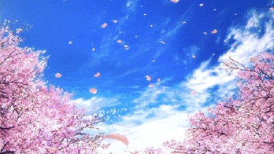 电脑樱花动态桌面_手机拍摄樱花技巧_避开游客拍摄樱花