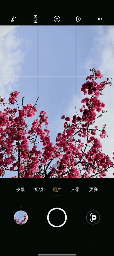 避开游客拍摄樱花_手机拍摄樱花技巧_电脑樱花动态桌面