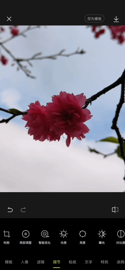 避开游客拍摄樱花_手机拍摄樱花技巧_电脑樱花动态桌面