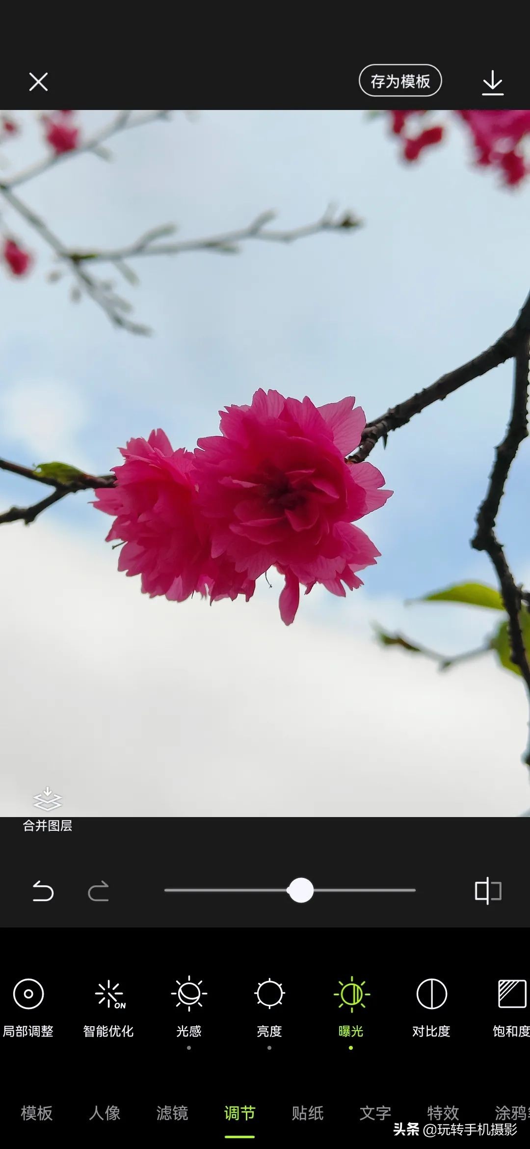 手机拍摄樱花技巧_电脑樱花动态桌面_避开游客拍摄樱花
