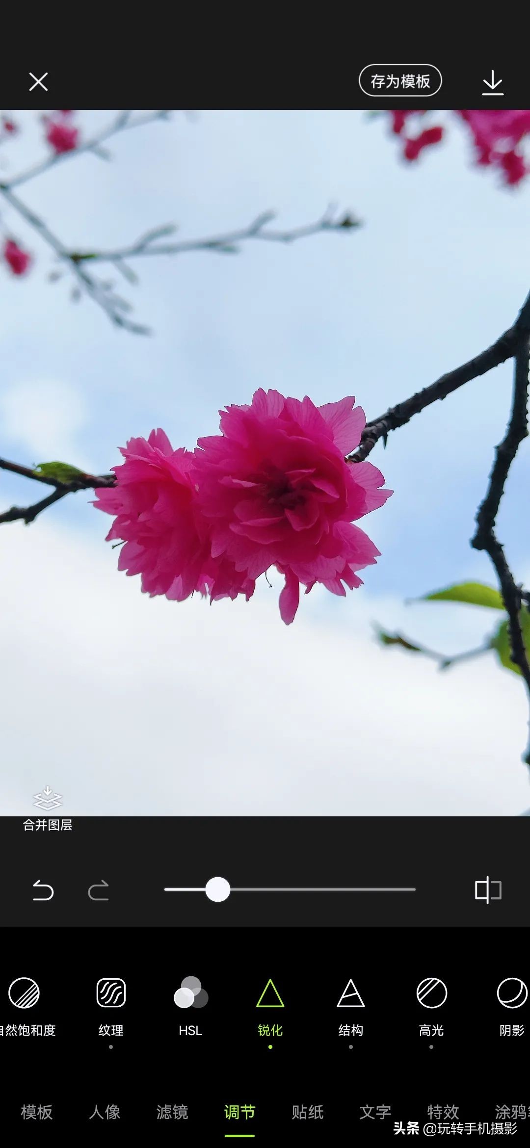 电脑樱花动态桌面_手机拍摄樱花技巧_避开游客拍摄樱花