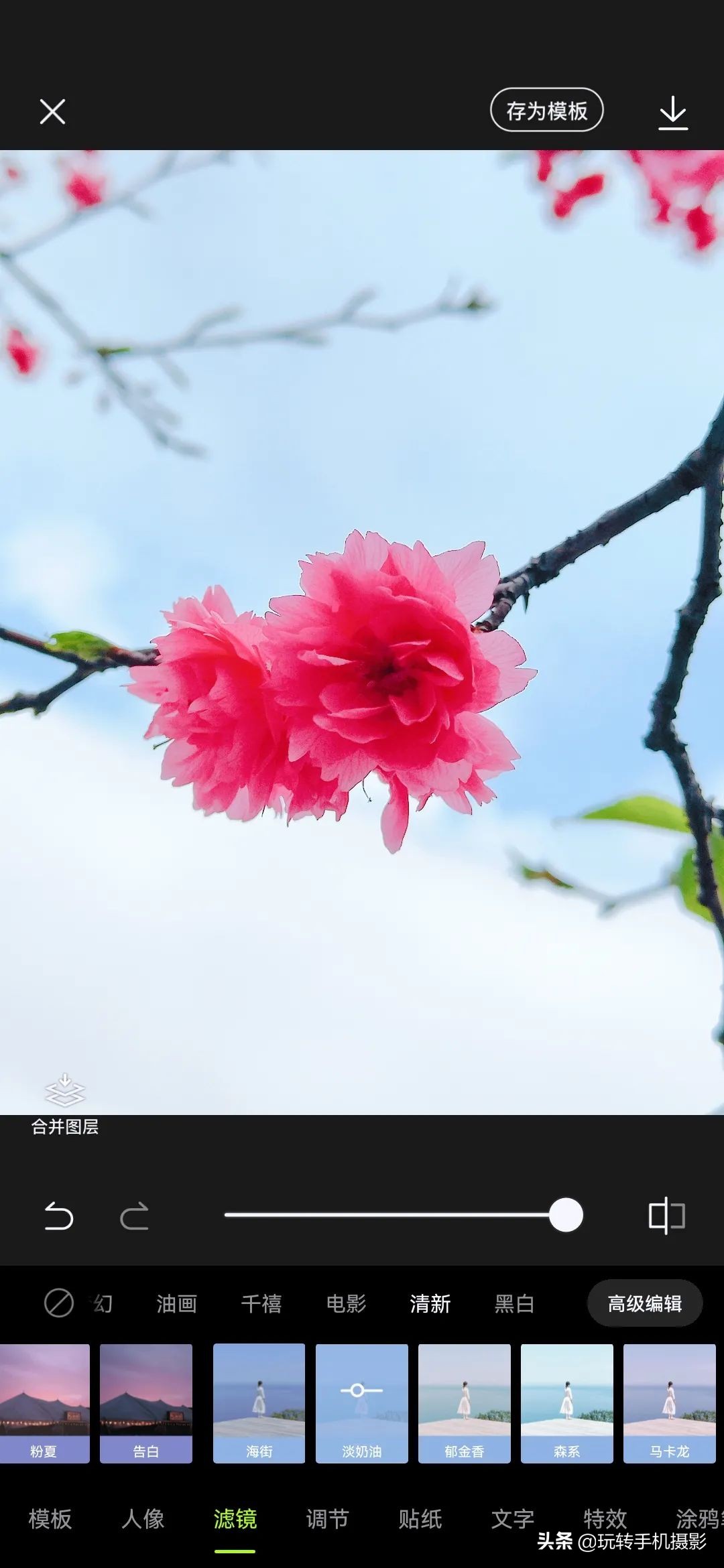 电脑樱花动态桌面_手机拍摄樱花技巧_避开游客拍摄樱花