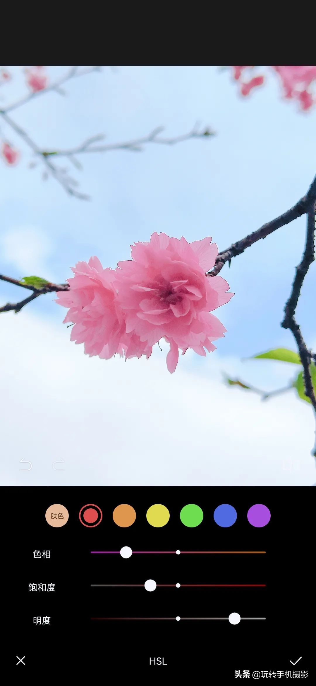 避开游客拍摄樱花_电脑樱花动态桌面_手机拍摄樱花技巧