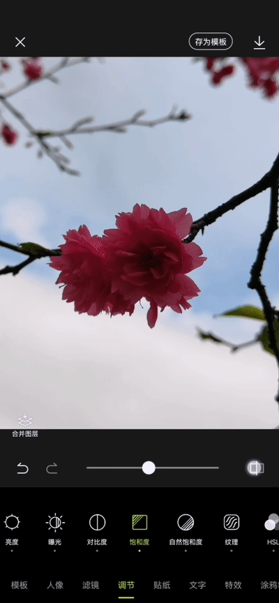 电脑樱花动态桌面_手机拍摄樱花技巧_避开游客拍摄樱花