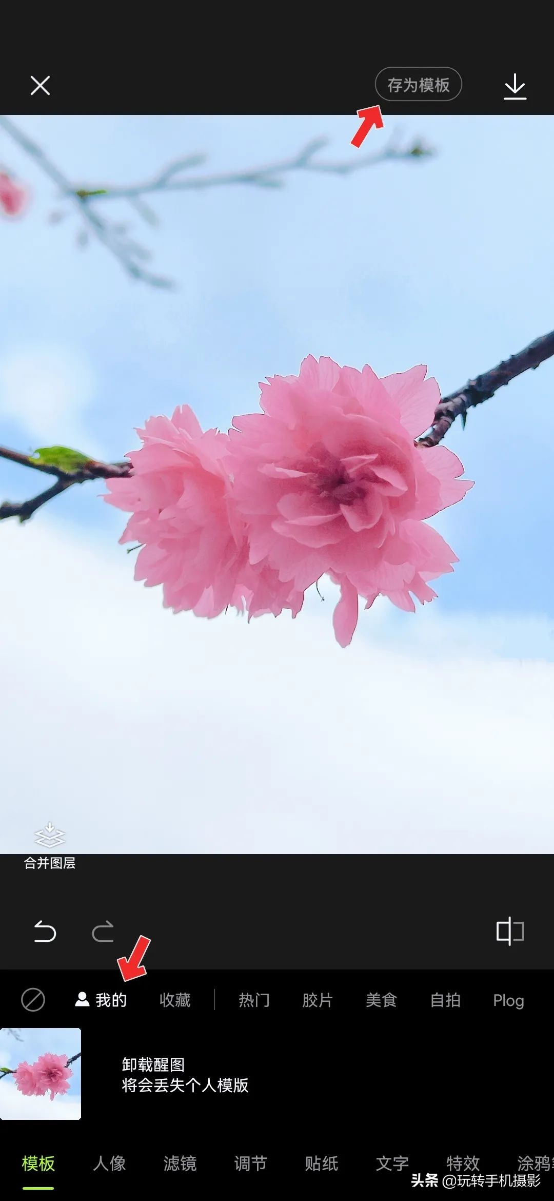 避开游客拍摄樱花_手机拍摄樱花技巧_电脑樱花动态桌面