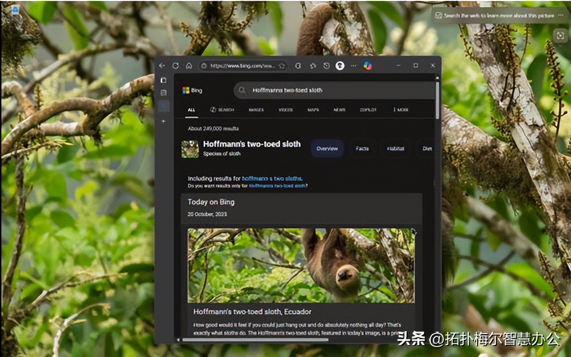 电脑动态桌面泡泡_必应壁纸 桌面点击打开必应搜索 微软必应壁纸设置