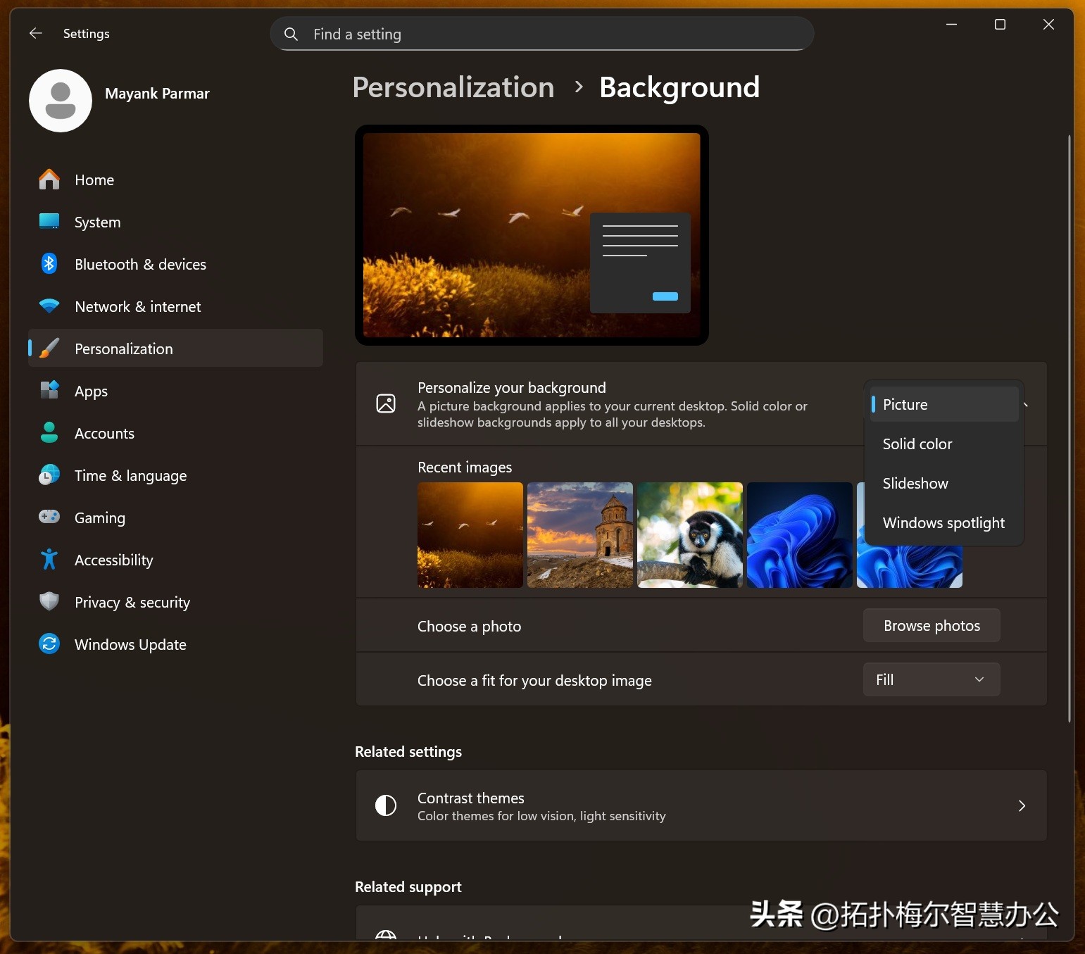 必应壁纸 桌面点击打开必应搜索 微软必应壁纸设置_电脑动态桌面泡泡
