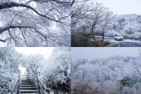 谁说冰雪只在北方？广西的这些山水秘境，藏着限定版的冬日童话