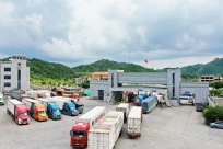 别样的“甜蜜春运”