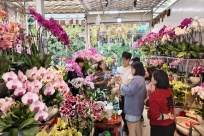 迎春逛花市 南宁年味浓