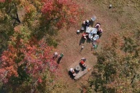 “桂中最美红枫林”的枫叶红了，你确定不来看看吗？