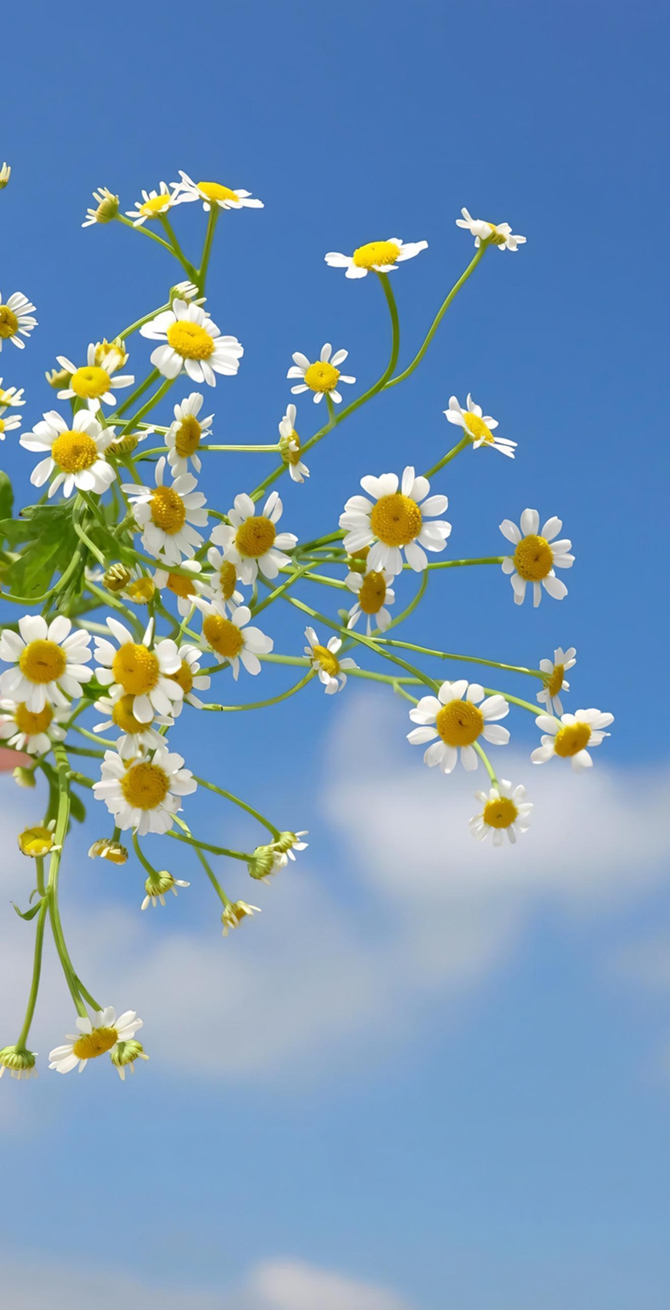 iOS26裸眼3D景深壁纸_空间景深壁纸设置技巧_3d壁纸手机壁纸效果