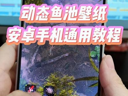 金龙鱼动态壁纸设置教程，手机电脑端方法全在这