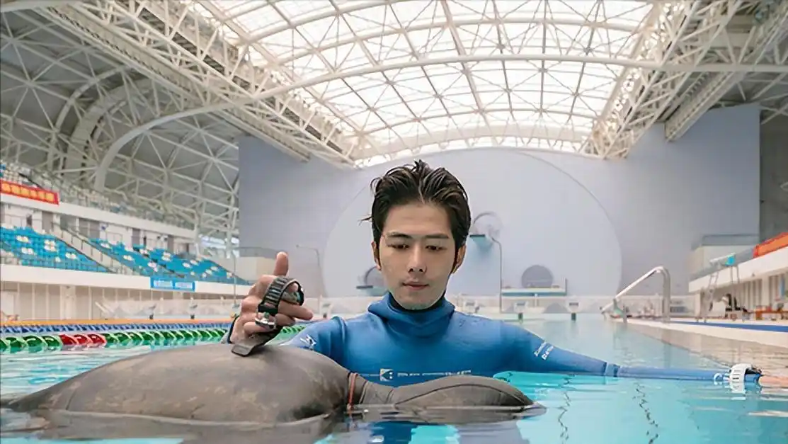 陈学冬退圈传闻_陈学冬现状分析_陈学冬照片