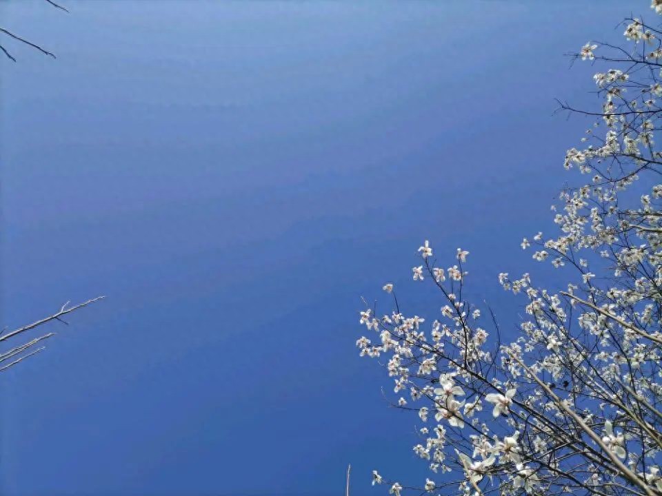 湿疹临床表现特点_湿疹病因和发病机制_湿疹 喝酒