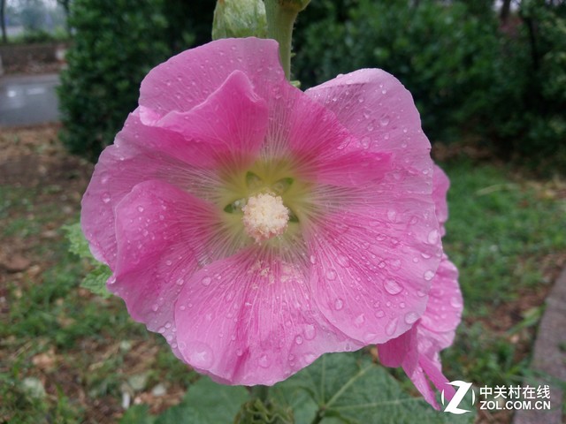 朵唯L8 Plus评测:满足女性用户的