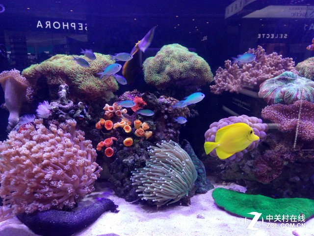 朵唯L8 Plus评测:满足女性用户的