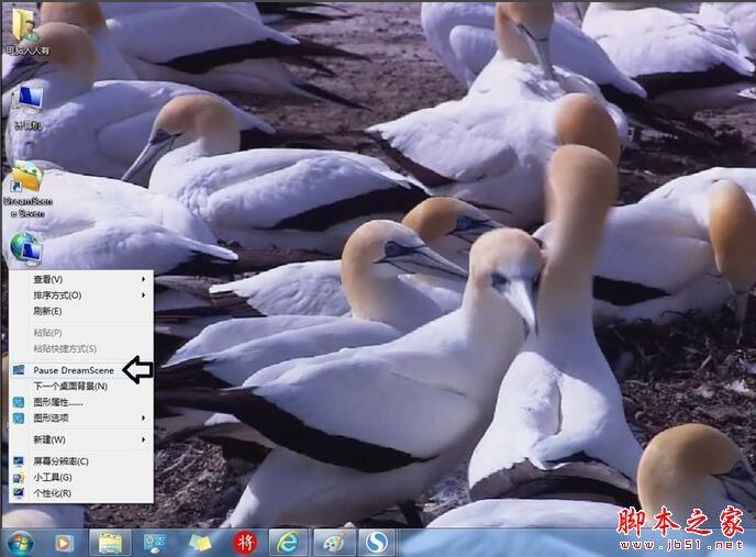 dreamsceneseven 桌面动态背景设置_dreamscene seven 1.6_dreamsceneseven 安装教程