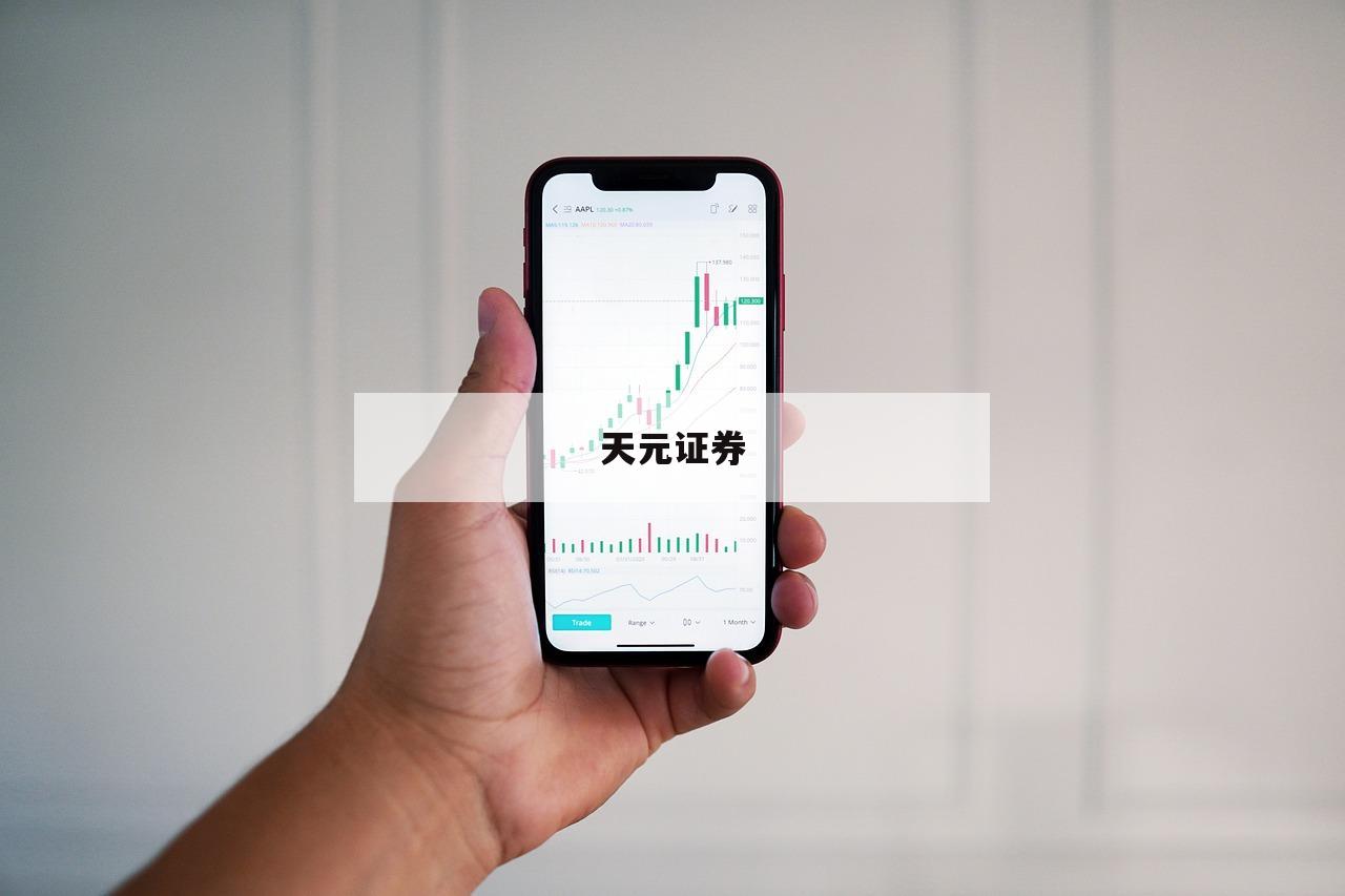 关于股票金融杠杆的信息